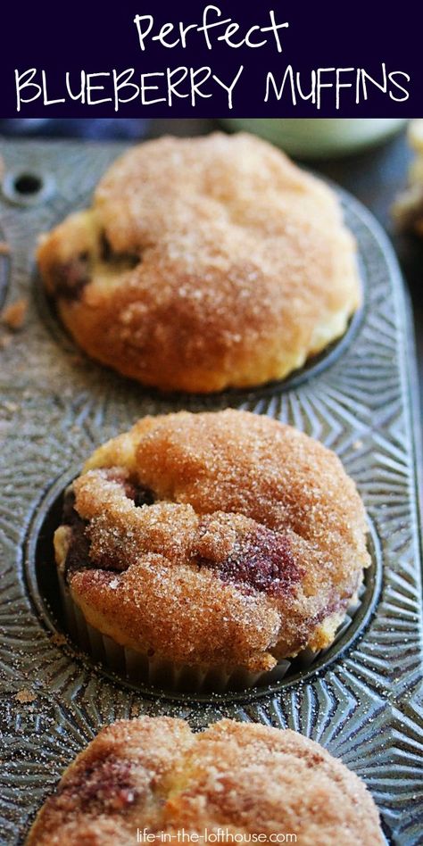 Blueberry Cinnamon Muffins, The Best Blueberry Muffins, Lemon Raspberry Muffins, Yogurt Toppings, Best Blueberry Muffins, Pumpkin Cream Cheese Muffins, Butter Cinnamon, Raspberry Muffins, Pumpkin Chocolate Chip Muffins