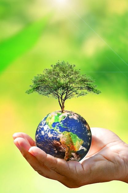 Save Earth Pictures, Earth Background, Tree Slogan, Protect The Environment, Tree Growing, Earth Images, Cartoon Love Photo, Save Trees, Earth Pictures