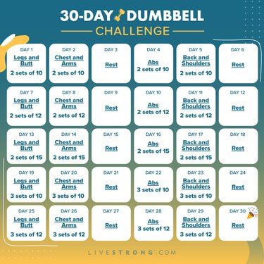 Dumbbell Workout Program, Dumbbell Challenge, Chest And Arm Workout, Back And Shoulder Workout, Full Body Dumbbell Workout, Weighted Squats, Squats And Lunges, Muscle Power, Muscles In Your Body