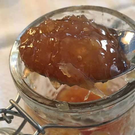 Ginger Marmalade Recipe | Allrecipes Ginger Marmalade Recipe, Ginger Marmalade, Food Processor Uses, Ginger Jam, Vegetarian Thanksgiving Recipes, Marmalade Recipe, Cranberry Sauce Recipe, Vegetarian Thanksgiving, Jam And Jelly