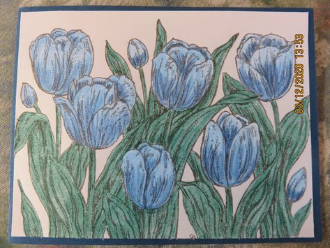 Blue Tulips Drawing, Tulip Drawing, Blue Tulips, Purple Tulips, Language Of Flowers, Card Ideas, Tulips, Blue And Purple, Card Design