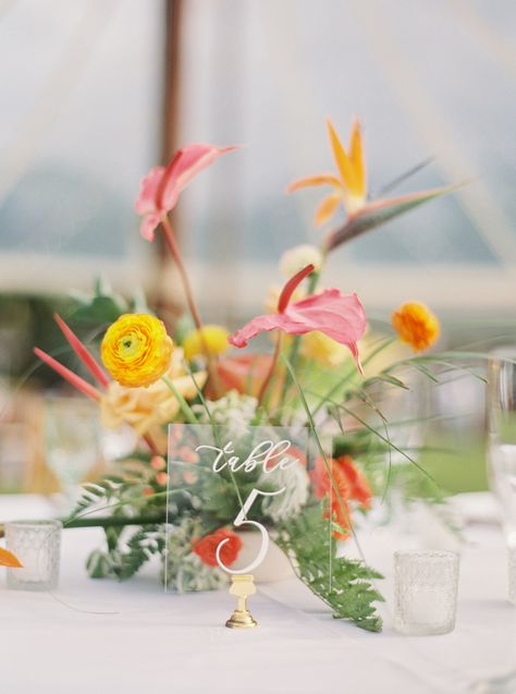 Colorful Ikebana Wedding, Tropical Whimsical Wedding, Tropical Spring Wedding, Tropical Ceremony Flowers, Tropical Chic Wedding Decor, Tropical Wedding Aesthetic, Vibrant Tropical Wedding, Tropical Wedding Color Palette, Byron Wedding