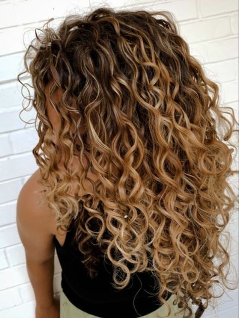 Curly Blonde Hair Color, Blond And Brown Curly Hair, Blond Front Pieces Of Hair Curly, Honey Blonde Wavy Hair, Highlights Natural Curly Hair, Dirty Blonde Curly Hair With Highlights, Curly Light Brown Hair With Highlights, Blonde Highlights Curly Hair Natural Curls, Ombré Curly Hair