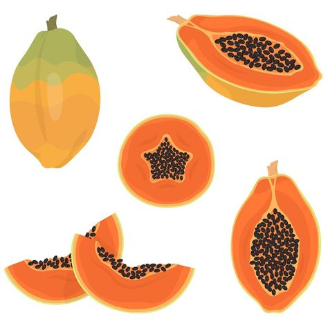 Papaya Illustration, Tropical Style, Business Advertising Design, Tropical Fruit, Business Advertising, Cartoon Style, Advertising Design, Papaya, Design Branding