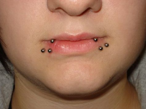 Shark Bites Shark Bites Piercing, Ink Poisoning, Shark Bites, Body Modification, Piercing Ring, Body Modifications, Body Mods, Fallout, Piercing Jewelry