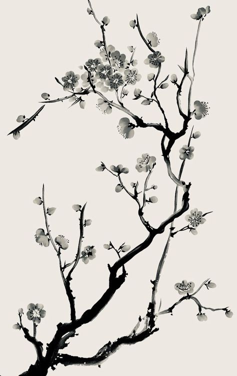 Cherry Branch Tattoo, Cherry Blossom Branch Tattoo, Cherry Blossom Tattoo Design, Black And White Cherry Blossom, Japanese Cherry Blossom Tattoo, Tree Tattoo Black, Japanese Tattoo Words, Cherry Blossom Tree Tattoo, Cherry Blossom Drawing