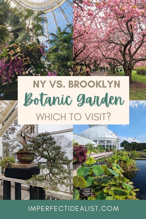 NYC has two main botanical gardens, one in the Bronx (New York Botanical Garden), and one in Brooklyn. I’ve visited both, and while both were beautiful in their own ways, I definitely have a preference. If you only have time to visit one, this guide will go over the main differences between the two gardens and help you make a decision. Botanical Gardens New York, Ny Botanical Gardens, Bronx Botanical Garden, Brooklyn Botanical Garden Photoshoot, Nyc Garden, Brooklyn Botanical Garden, Brooklyn Botanic Garden, The Bronx New York, New York Botanical Garden