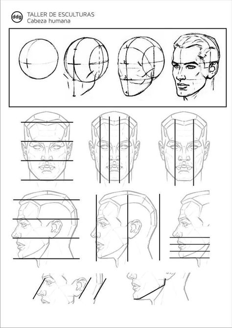 Easy Pencil Drawings, Drawing Tutorial Face, Human Anatomy Drawing, Drawing Heads, Human Drawing, Anatomy Sketches, Pencil Drawings Easy, Anatomy Drawing, Anatomy Art