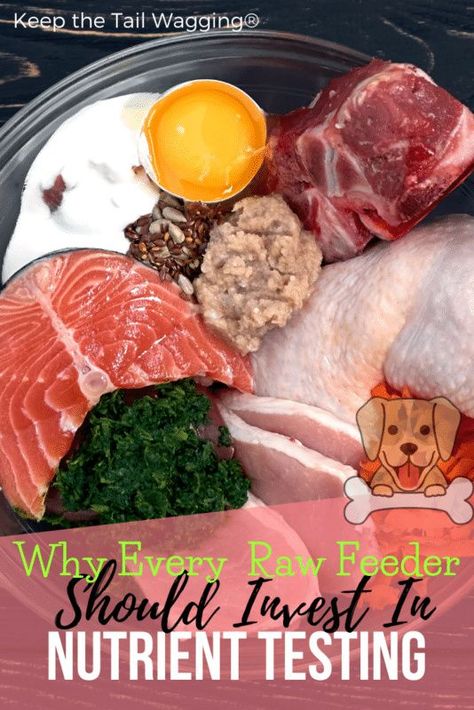 Dog Raw Diet, Raw Feeding For Dogs, Home Cooked Dog Food, Raw Dog Food Diet, Raw Pet Food, Make Dog Food, Dogs Tips, Healthy Dog Treats Homemade, Tail Wagging