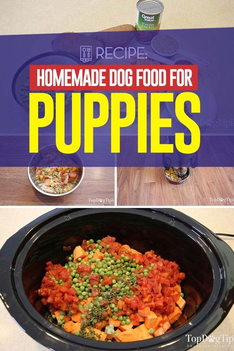 Homemade Dog Food Puppy, Homemade Food For Dogs Recipes, How To Make Puppy Food, Puppy Food Recipe, Diy Puppy Food Recipes, Homemade Puppy Food Vet Approved, Puppy Dog Food Recipes, Homemade Food For Puppies, Puppy Food Ideas