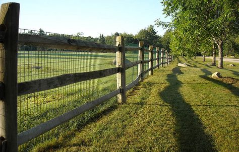 Wire Farm Fencing | Recent Photos The Commons Getty Collection Galleries World Map App ... Rural Fencing, Post And Rail Fence, Welded Wire Fence, Ranch Fencing, Wood Fence Post, Wire Fencing, Split Rail Fence, Wire Mesh Fence, House Fence Design