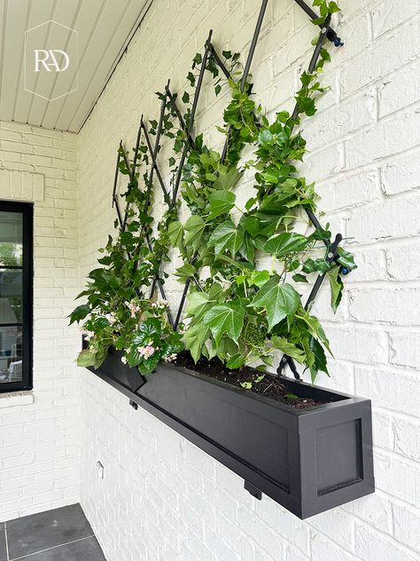 DIY Wall Mounted Planter Box With Trellis Fence Planter Boxes Hanging, Plant Wall Mount, Wall Hanging Planters Outdoor, Hanging Wall Planters Outdoor, Trellis Planter Ideas, Diy Wall Planter Outdoor, Wall Mounted Planters Outdoor, Hanging Plants On Fence, Wall Mounted Trellis