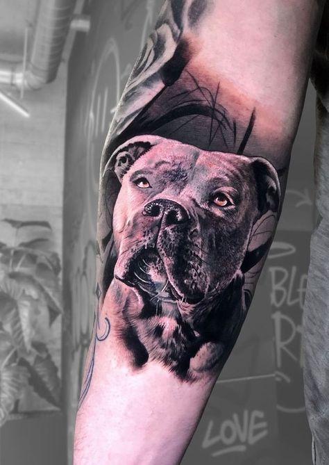 Og Tattoos, Tehran Tattoo, Pet Portrait Tattoos, Dog Portrait Tattoo, Pitbull Tattoo, Tattoos For Dog Lovers, Dog Memorial Tattoos, Portrait Tattoos, Pitbull Art