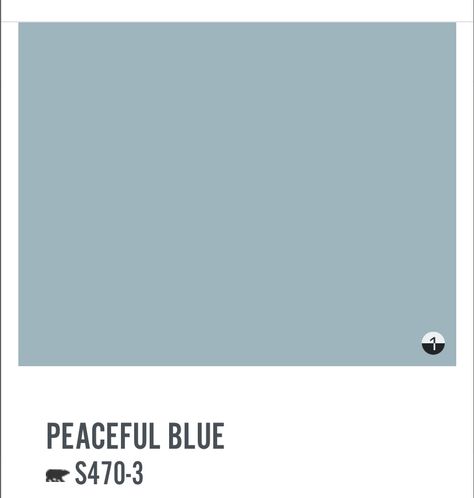 Peaceful Blue Behr Paint, Behr Peaceful Blue, Mom Bedroom, Peaceful Blue, Blue Painted Walls, Primary Bath, Behr Paint, Bathroom Reno, Cottage House