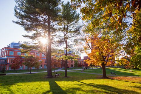 Join us in looking back at some of the most noteworthy stories from the past year at SUNY New Paltz. #YearInReview #NPsocial https://newpaltz.edu/year-in-review-2020/ Suny New Paltz, New Paltz, College Aesthetic, Year In Review, Summer 2024, Looking Back, Join Us, Golf Courses, The Past