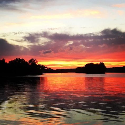 Lake Barkley State Resort Park is an idyllic place in Kentucky where time stands still. Land Between The Lakes, Time Stands Still, Lake Camping, Bad Time, Time Stood Still, Camping Life, Small Towns, Great Places, Kentucky