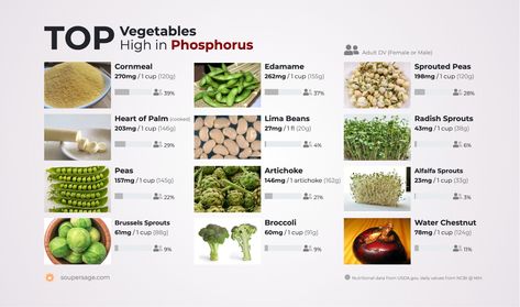 Vegetables High in Phosphorus Phosphate Foods, High Phosphorus Foods List, Foods High In Phosphorus, High Phosphorus Foods, Cooking Lima Beans, Vitamin A Foods, Alfalfa Sprouts, Water Chestnut, Complete Nutrition