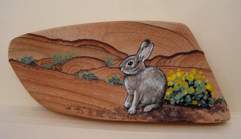 Desert cottontail hand painted on sandstone by Greta Schneider Sandstone Painting, Rock Cactus, Painted Rock Cactus, Cactus Painting, Egg Painting, Hand Painted Stones, Pet Rocks, Hand Painted Rocks, Stone Painting