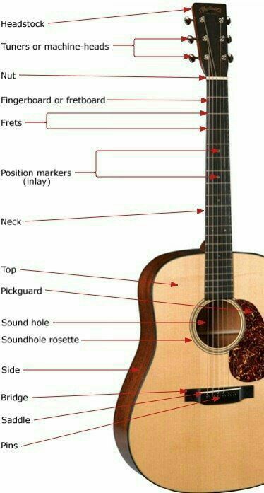 Songs Guitar, Learn Acoustic Guitar, Acoustic Guitar Case, Learn Guitar Chords, Basic Guitar Lessons, Guitar Lessons Songs, Online Guitar Lessons, Acoustic Guitar Lessons, Guitar Chords For Songs