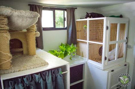 Rv Pet, Camping Diy, Rv Renovation, Airstream Renovation, Rv Homes, Rv Trailer, Rv Storage, Rv Renovations, Camper Makeover