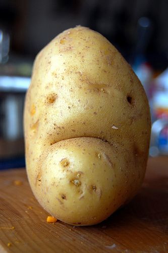 Here is a rather grumpy-looking potato.  Heh.  The potato is probably grumpy because it just realized that it's actually covered in "tubers" (commonly known as 'eyes'), which are modified stems.  Mr. Potato knows that if he's cut in pieces and re-planted, he will grow into more potatos.  ...Well, would you like to be sliced up and buried alive?! Potato Face, Things With Faces, Funny Vegetables, Hidden Faces, Growing Potatoes, A Potato, Grass Fed Beef, Foods To Avoid, How To Can Tomatoes