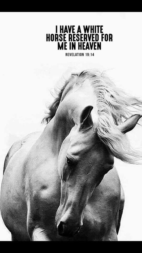 Scripture Verses Faith, Inspirational Horse Quotes, Revelation 19, Scripture Wallpaper, Bible Drawing, Bible Verse For Today, Horse Ears, Verses Wallpaper, Equestrian Lifestyle