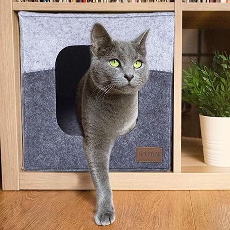 Amazon.com : FEXTTEN Thick Felt Cat Cube Cave for IKEA Shelf - Easy Travel Cat Cube Bed - Foldable Cat Houses for Indoor Cats : Pet Supplies Kallax Cat, Ikea Cat Bed, Cube Bed, Ikea Hacks For Cats, Ikea Cat, Kallax Insert, Travel Cat, Cat Cube, Kitty House