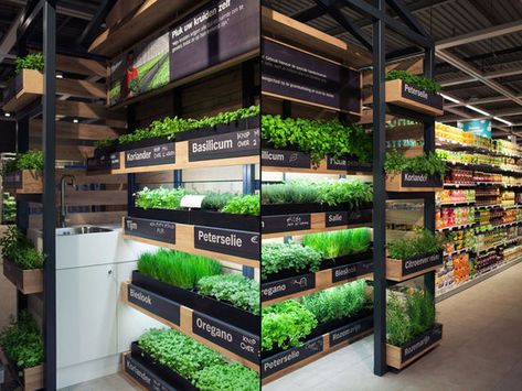 Grocery Store Herb Gardens Image 8 Indoor Farming, Vegetable Shop, Grocery Store Design, Supermarket Design, Vertical Farming, Fruit Shop, Retail Store Design, Hydroponic Gardening, Small Farm