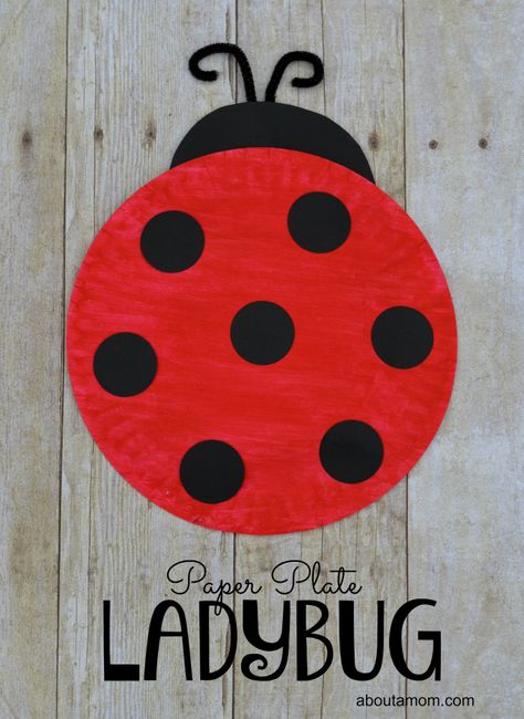 Ladybug Craft, Paper Plate Crafts For Kids, Insect Crafts, Diy Summer Crafts, Ladybug Crafts, Bug Crafts, Ladybug Art, Spring Crafts For Kids, Paper Plate Crafts