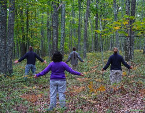 An emerging mindfulness practice, forest bathing is exactly what it sounds like Forest Therapy, Shinrin Yoku, A Walk In The Woods, Angel Guide, Forest Bathing, Nature Sounds, Painkiller, Spiritual Health, Walk In The Woods