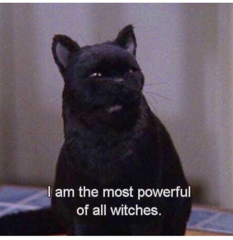 Salem Saberhagen, Salem Cat, Sabrina Spellman, Season Of The Witch, Tv Quotes, Most Powerful, Movie Quotes, Spirit Animal, Reaction Pictures