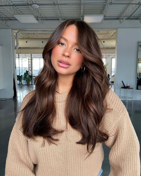 Soft Brown Balayage Subtle Highlights, Light Brown Layered Hair Medium, Rick Brown Hair Color, Brown Hair W Dimension, Level 7 Chocolate Brown Hair, Low Maintenance Brunette Balayage, Asian Brunette Hair Dark Brown, Chocolate Brown Hair Toner, Dark Gloss On Hair