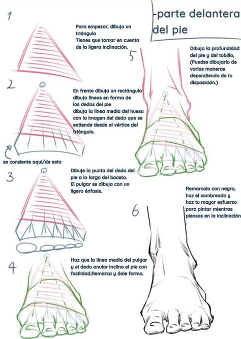 Drawing Body Proportions, Leg Reference, Human Anatomy Reference, Feet Drawing, Human Body Drawing, Human Anatomy Drawing, Body Drawing Tutorial, Hand Drawing Reference, Human Anatomy Art