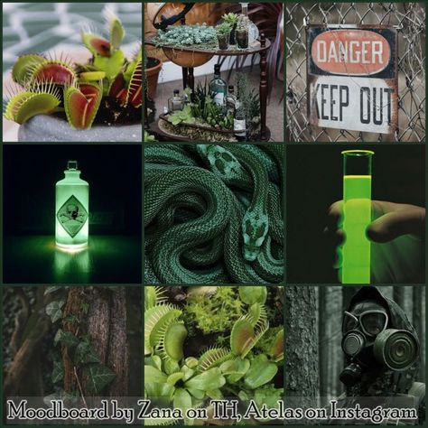 Snake Moodboard, Animal Moodboard, Fantasy Moodboard, Oc Moodboard, Adopt Idea, Green Characters, Rainbow Aesthetic, Free Use, Writing Art