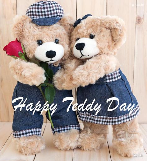 Best Teddy Bear And Happy Teddy Day Photos ,Valentine''s Week Teddy Day Photos, Happy Teddy Bear Day, Happy Teddy Day, Best Teddy Bear, Teddy Bear Day, Lovely Good Night, Bond Quotes, Teddy Day