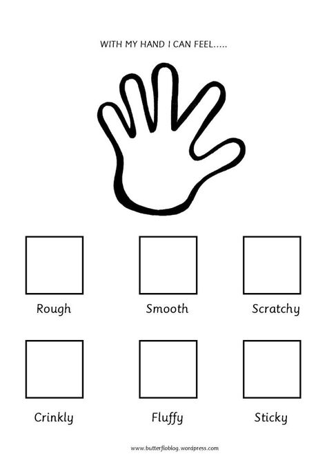 The Five Senses (Touch) – Butterflo Kids Senses Kindergarten, Five Senses Kindergarten, 5 Senses Worksheet, Five Senses Worksheet, Five Senses Preschool, Preschool Activity Sheets, 5 Senses Activities, Senses Preschool, My Five Senses