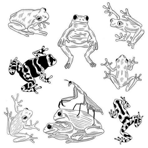 Tree Frog Tattoos Simple, Funky Frog Tattoo, Filler Tattoo Pattern, Frog Line Art, Fauna Tattoo, Tree Frog Tattoos, Music Notes Tattoo, Frog Tattoo, Tattoo Filler