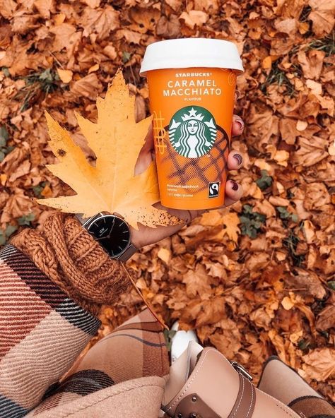 Fall Mood Board, Fall Inspo, Fall Feels, Happy Fall Y'all, Wallpaper Free, Fall Pictures, Autumn Cozy, Fall Favorites, Autumn Aesthetic