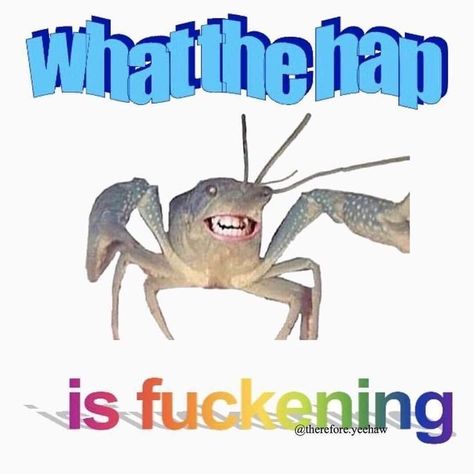 Crab, Memes, Funny