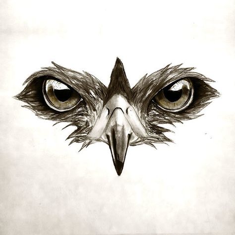 500+ Masculine Tattoo Designs for Men and Guys - Hawk Eyes Falcon Tattoo, Vogel Tattoo, Hawk Tattoo, Lion Sketch, Tattoo Lion, Tattoo Zeichnungen, Eye Sketch, Eagle Tattoos, Geniale Tattoos