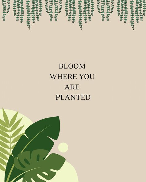 🌸 Bloom Where You Are Planted 🌸 Sometimes life doesn’t go as planned, and we find ourselves in unexpected places. But remember — even in unfamiliar soil, we can still grow. 🌱 The strength to thrive is within you, no matter where you are or what challenges you face. Embrace your environment, make the most of the opportunities around you, and watch yourself bloom into something beautiful. 💫 Wherever you are, choose to grow. You’re capable of more than you know. 💖 #BloomWhereYouArePlanted #e... Bloom Where You Are Planted, Quotes Life, Beautiful Soul, Something Beautiful, Make Me Happy, To Grow, Soil, Matter, How To Plan