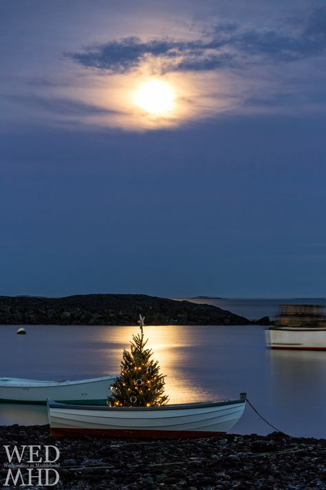 A Christmas full moon lights up the sky and the waters of Little Harbor silhouetting a Christmas tree in a dinghy Marblehead Massachusetts, Divine Consciousness, Moon Lights, Moon Christmas, Divine Light, Amazing Views, Adam Sandler, Peaceful Places, Christmas 2015