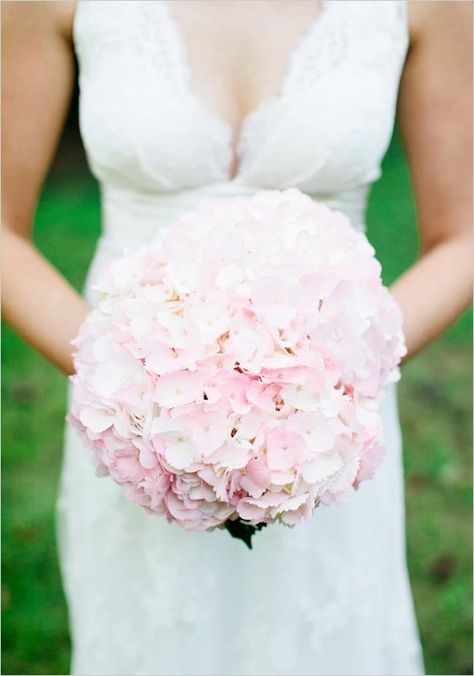 Pink Hydrangea Bouquet, Hydrangea Bridal Bouquet, Hydrangea Bouquet Wedding, Wedding Flowers Hydrangea, Wedding Bouquets Pink, Hydrangea Bouquet, Hydrangeas Wedding, Pink Bride, Pink Hydrangea