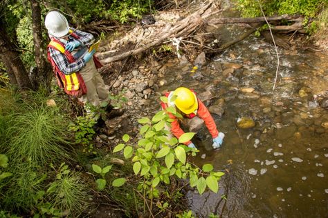 Chain of command on project sites - environmental monitoring - Taking a water sample - PPE Chain Of Command, Professional Skills, Project Site, Study Program, Prince George, British Columbia, St John, Programming, Terrace