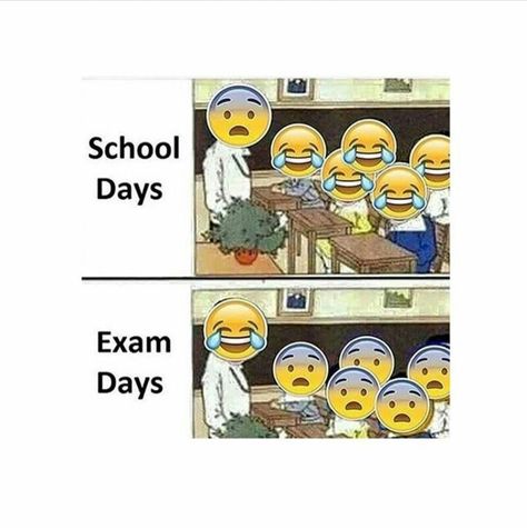 Minion Humour, Beteg Humor, Exams Funny, Funny School Pictures, Funny Quotes In Hindi, Exam Quotes Funny, Student Humor, School Jokes, School Quotes Funny