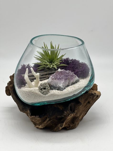 Buy Genuine Amethyst Crystal Air Plant Terrarium, Hand Blown Glass DIY Terrarium Kit, Seascape Design With Coral, Glass Plant Centerpiece Online in India - Etsy Crystal Terrarium Ideas, Crystal Terrarium Diy, Victorian Terrariums, Vivarium Ideas, Beach Terrarium, Crystal Gardens, Crystal Terrarium, Plant Centerpieces, Diy Terrarium Kit