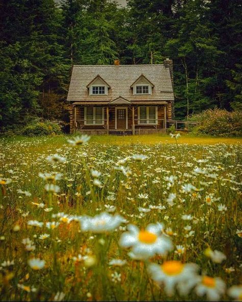 Small Cottage Core House, Homestead In The Woods, Appalachian House Aesthetic, Old Small House, Living Off The Land Aesthetic, Old House In The Woods, Rural Living Aesthetic, Small Vintage House, Houses In Fields