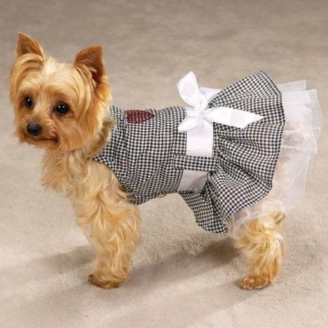 Pin by Yolanda Bernal on PET DICAS E TRUQUES | Dog clothes, Dog clothes diy, Puppy clothes Diy Dog Gifts, Small Dog Dresses, Dog Clothes Diy, Dog Clothes Patterns, Dog Dress, Dog Items, Pet Fashion, Puppy Clothes, Dog Costumes