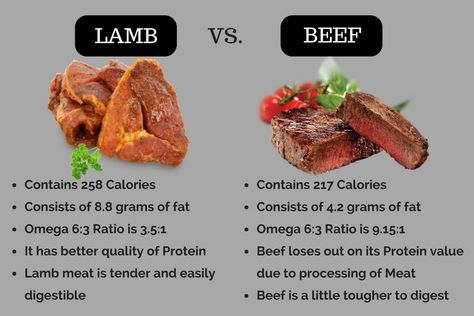 Keto Carnivore, Lamb Steaks, Ground Beef Pasta, Meat Diet, Beef Pasta, Roasted Chicken Breast, Dinner With Ground Beef, Healthy Homemade Recipes, Food Facts