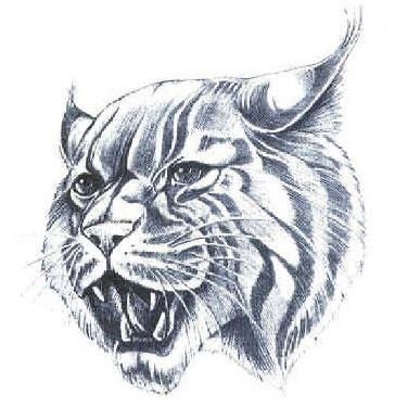 1000+ images about Wildcat Pride on Pinterest | Kentucky Wildcats ... Wildcat Drawing, Wildcat Tattoo, Royal Blue Wedding Dresses, Canada Lynx, Weird Drawings, Ky Wildcats, About Football, Big Blue Nation, Yearbook Themes